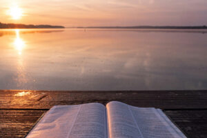photo by Aaron Burden via unsplash
