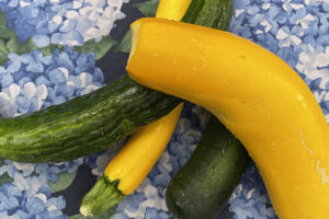 vegetables grown in the FRCS ECE Alley Cats Garden and Picnic area