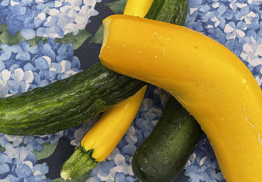 vegetables grown in the FRCS ECE Alley Cats Garden and Picnic area