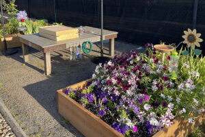 flowers bloom in the ECE Alley Cats Garden and Picnic Area