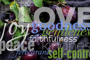 Fruit of the Spirit