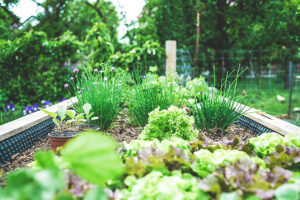 photo by Markus Spiske via unsplash