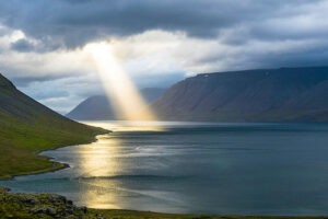 photo by Davide Cantelli via unsplash