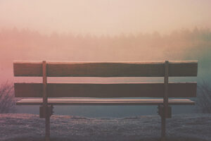photo by Aaron Burden via unsplash